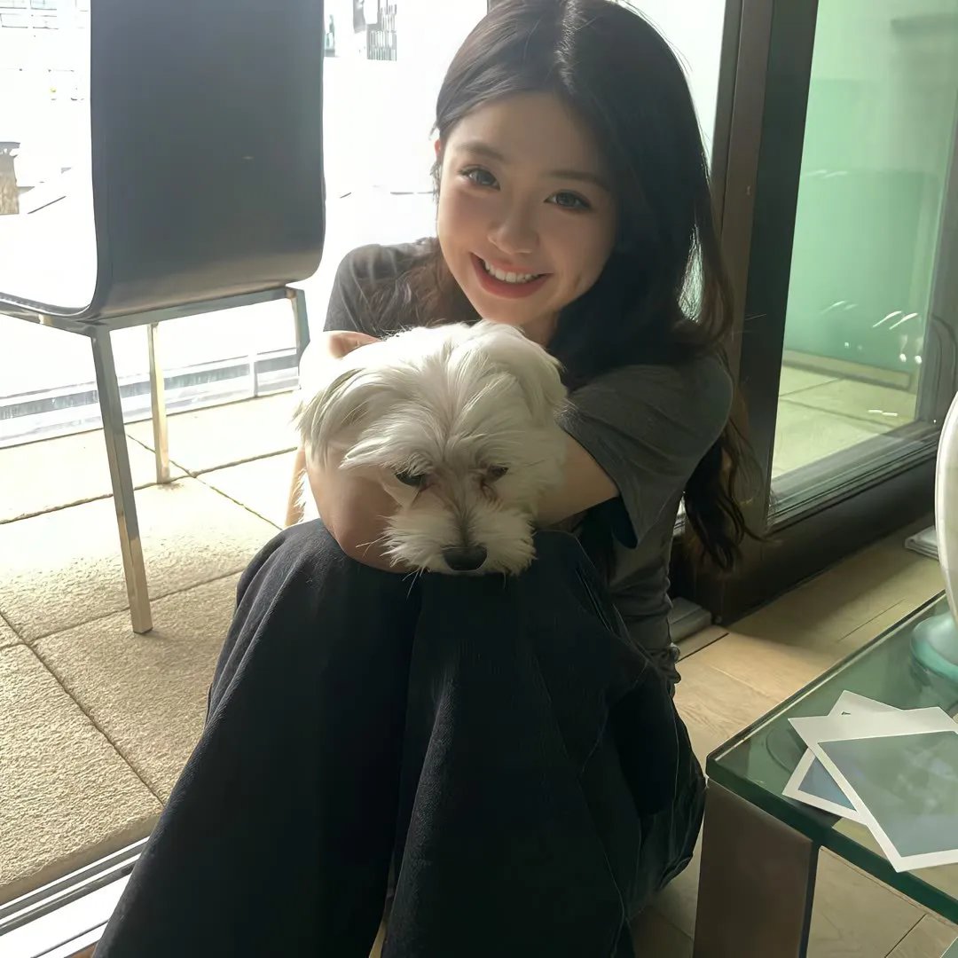 脱线教父 海报